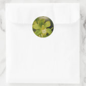 Sticker Rond Orchidée verte (Sac)