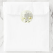 Sticker Rond Orchideen (Sac)
