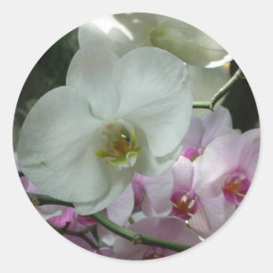 Sticker Rond Orchidées blanches et violettes