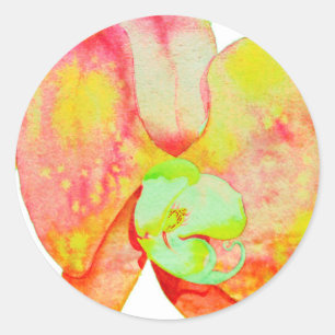 Sticker Rond Orchidées des Caraïbes, fleurs tropicales à l'aqua