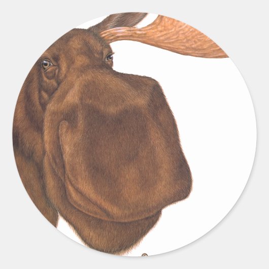 Sticker Rond orignal (Devant)