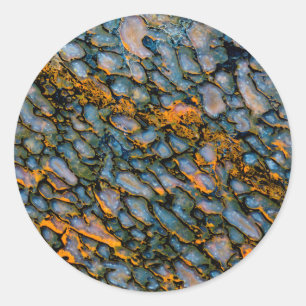 Sticker Rond Os de dinosaure pétrifié