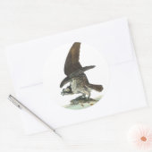 Sticker Rond Osprey, John Audubon (Enveloppe)
