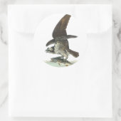 Sticker Rond Osprey, John Audubon (Sac)
