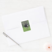 Sticker Rond Ostrich (Enveloppe)
