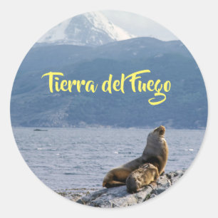 Sticker Rond Otaries dans le canal beagle - Argentine