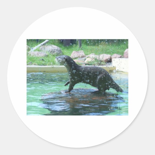 Sticker Rond Otter (Devant)