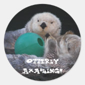Sticker Rond Otterly Extraordinaire Sea Otters (Devant)