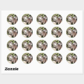 STICKER ROND OTTERS (Feuille)