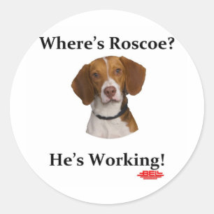 Sticker Rond Où est Roscoe ?