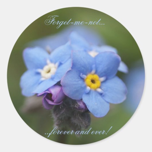 Sticker Rond Oublie-moi-pas pour toujours et jamais ! (Devant)