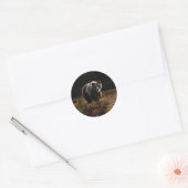 Sticker Rond Ours (Enveloppe)