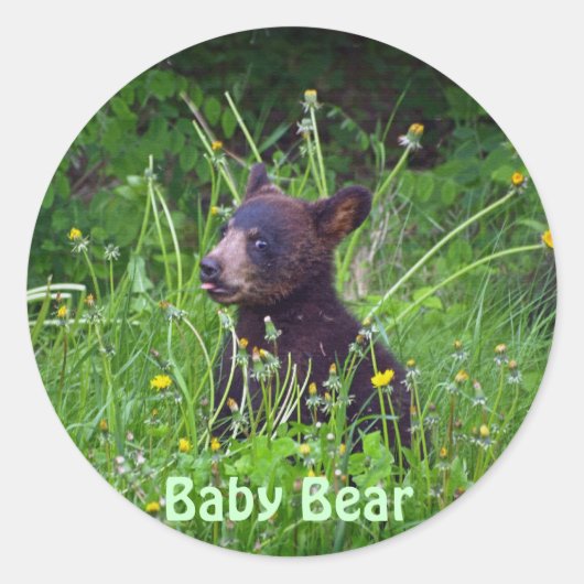 Sticker Rond Ours de la faune Amoureux des animaux Design (Devant)