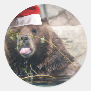 Sticker Rond Ours grizzli dans un chapeau de Père Noël