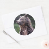 Sticker Rond Ours Grizzli debout (Enveloppe)