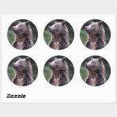 Sticker Rond Ours Grizzli debout (Feuille)