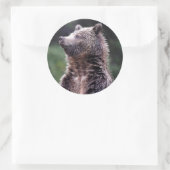 Sticker Rond Ours Grizzli debout (Sac)