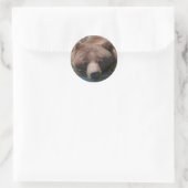 Sticker Rond Ours grizzly (Sac)