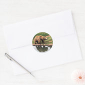 Sticker rond Ours Grizzly (Enveloppe)