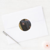 Sticker Rond Ours noir (Enveloppe)
