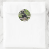 Sticker rond Ours Noir (Sac)