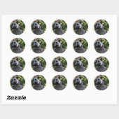 Sticker Rond ours noir (Feuille)