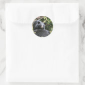 Sticker Rond ours noir (Sac)