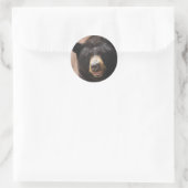 Sticker Rond Ours noir 142 (Sac)