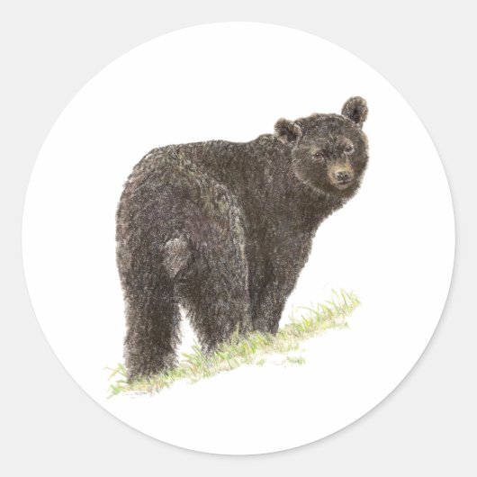 Sticker Rond Ours Noir mignon, Nature animale, Faune (Devant)