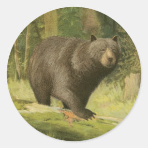 Sticker Rond Ours noir sur un tronc d'arbre