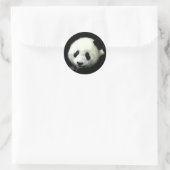 Sticker Rond Ours Panda (Sac)