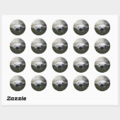 Sticker Rond Ours polaire (Feuille)