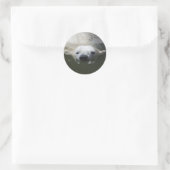 Sticker Rond Ours polaire (Sac)