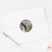 Sticker Rond Ours polaire (Enveloppe)