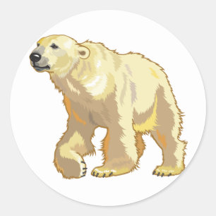 Sticker Rond ours polaire