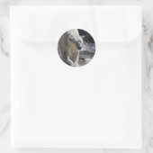 Sticker Rond Ours polaire blanc mou (Sac)