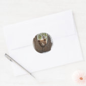Sticker Rond ourson d'hiver (Enveloppe)