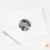 STICKER ROND OWLS (Enveloppe)