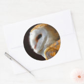 STICKER ROND OWLS (Enveloppe)