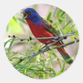 Sticker Rond Painted Bunting Par Kay Mil...
