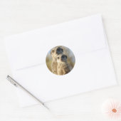 Sticker Rond Paire de Meerkats (Enveloppe)