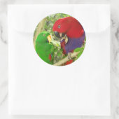 Sticker Rond Paire Eclectus (Sac)
