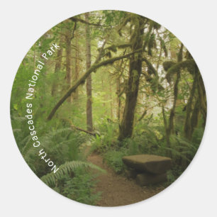 Sticker Rond Paisible Green Forest Trail à Washington