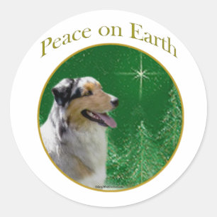 Sticker Rond Paix des bergers australiens