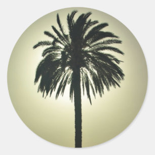 Sticker Rond Palm ensoleillé