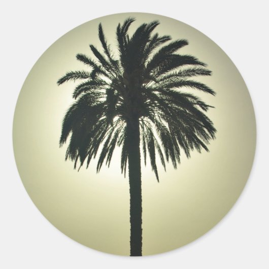 Sticker Rond Palm ensoleillé (Devant)