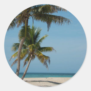 Sticker Rond Palmier et plage de sable blanc