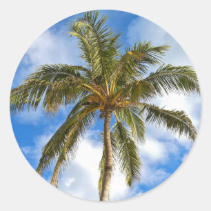 Sticker Rond palmier tropical et ciel