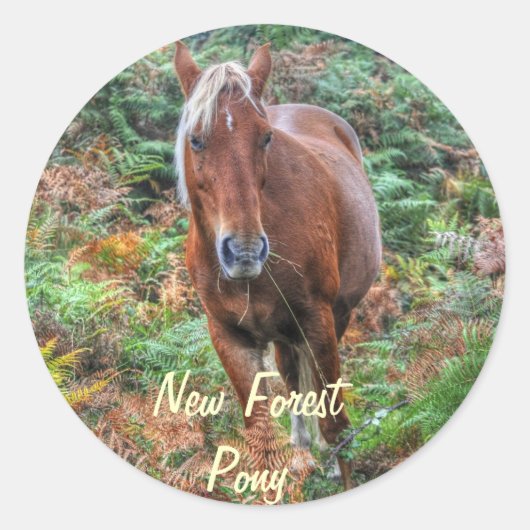 Sticker Rond Palomino Rare New Forest Pony & Bracken - Angleter (Devant)