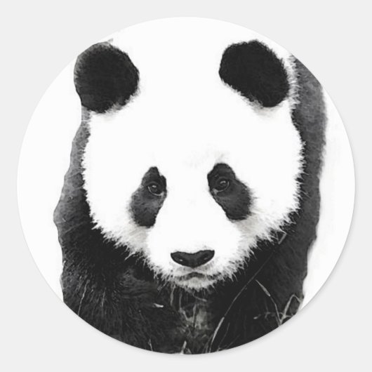 Sticker Rond Panda (Devant)